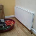 6. new radiator
